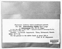 Image Associated With the Occurence